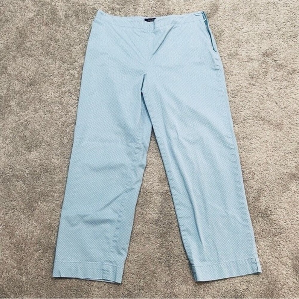 Talbots Classic Side Zip Light Blue and White Patterned Pants Size 10